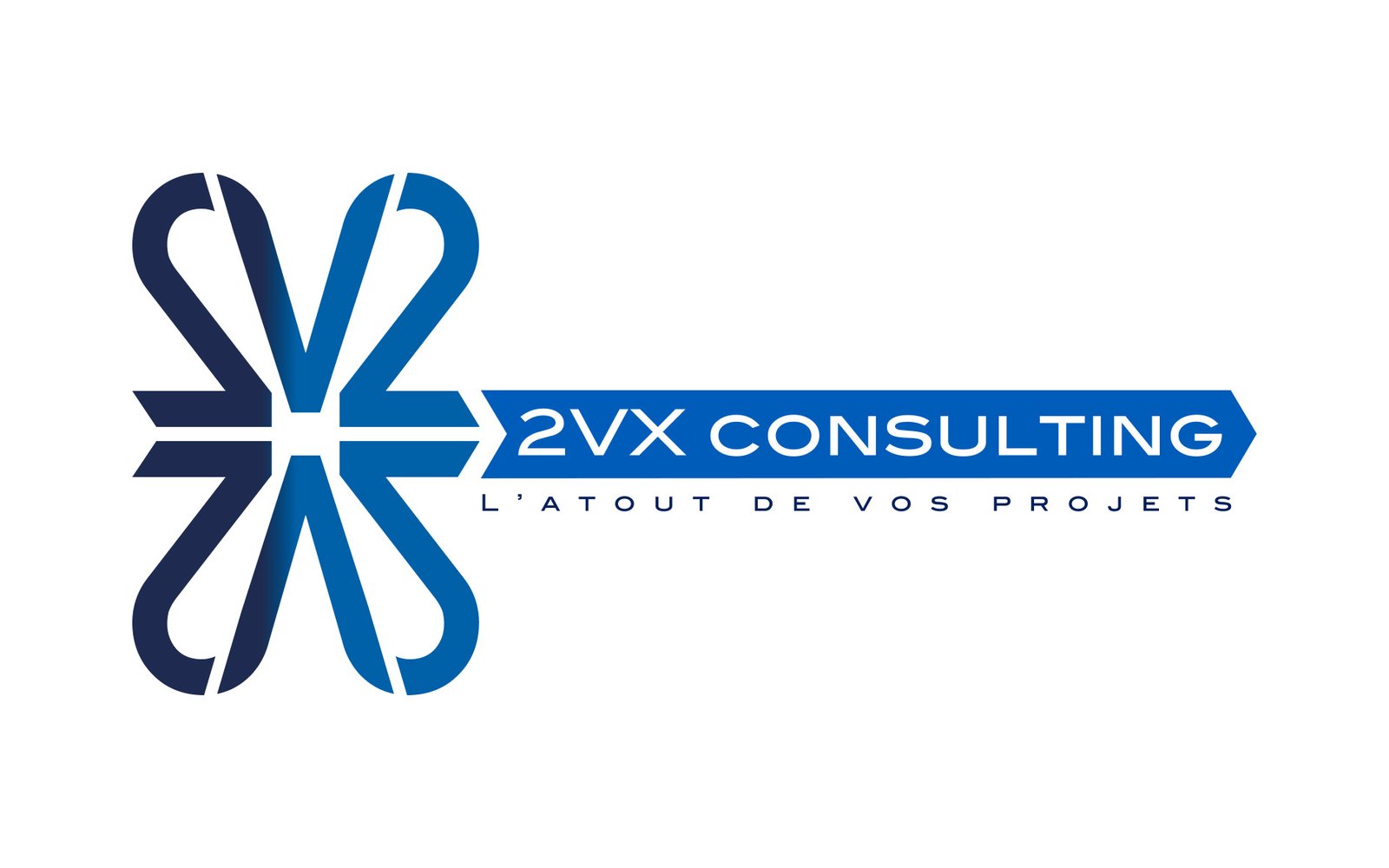 Logo 2VX Consulting